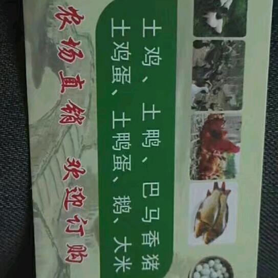 有始有终