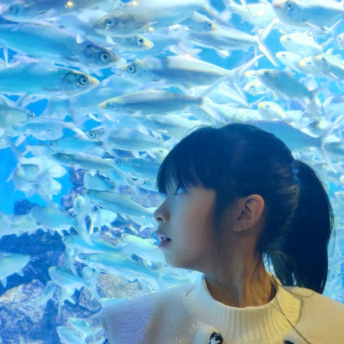 @峰