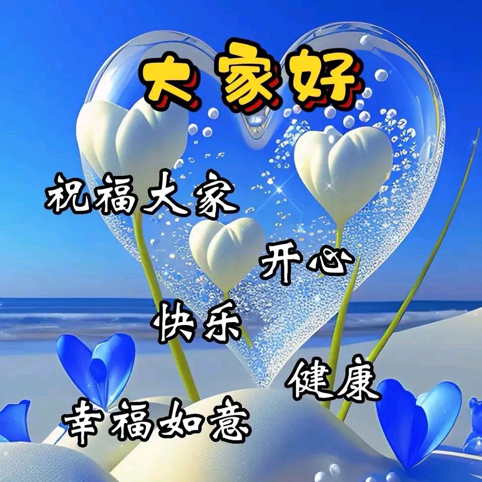 你好95