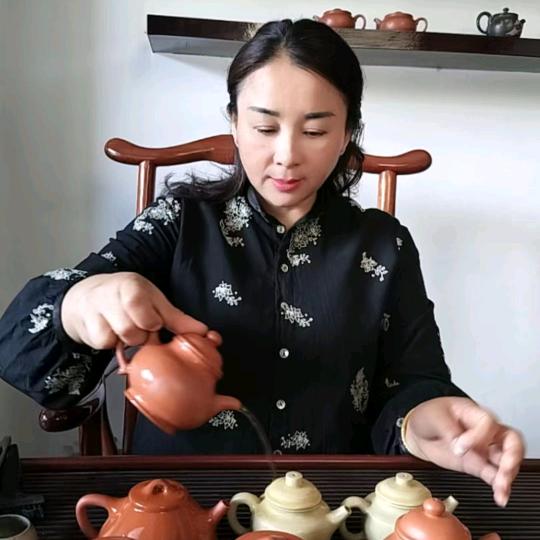 杨  芳   [俸普号茶业]