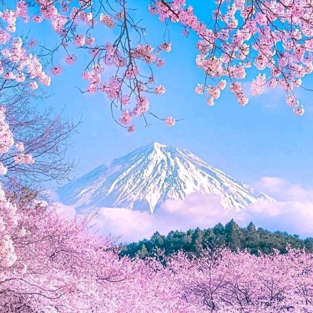 感恩的心
