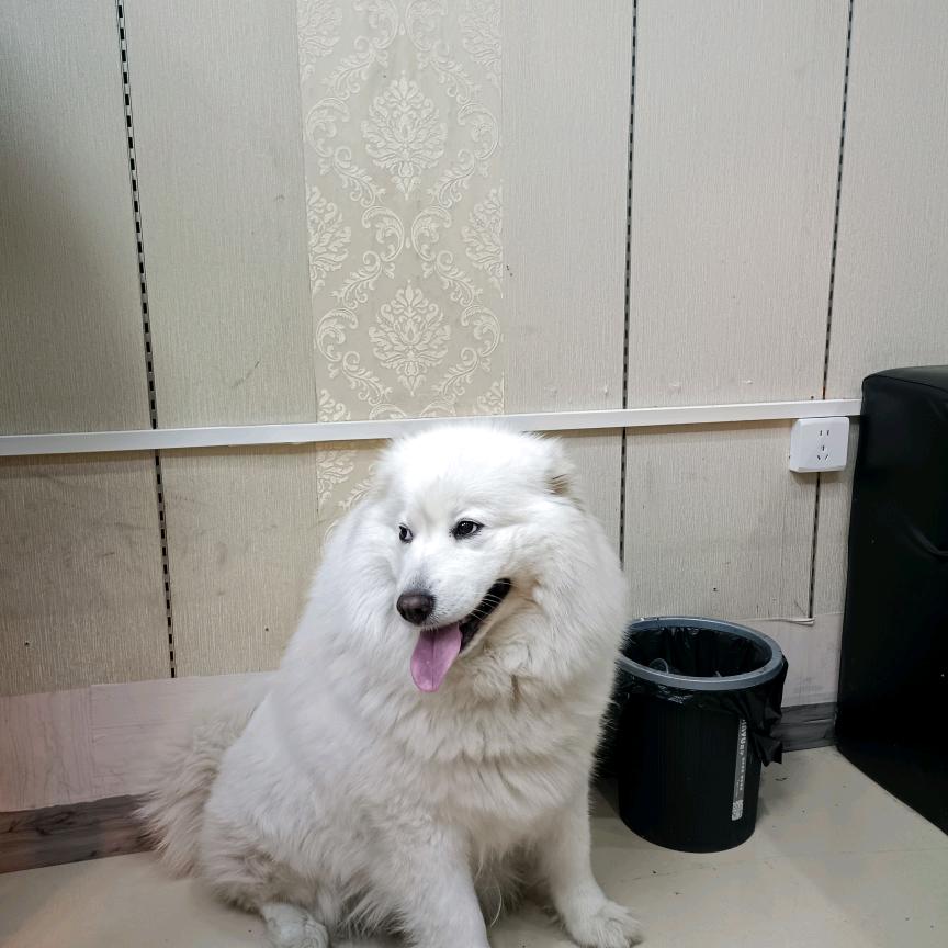 社会复杂我简单