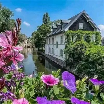 你是我唯一的执着