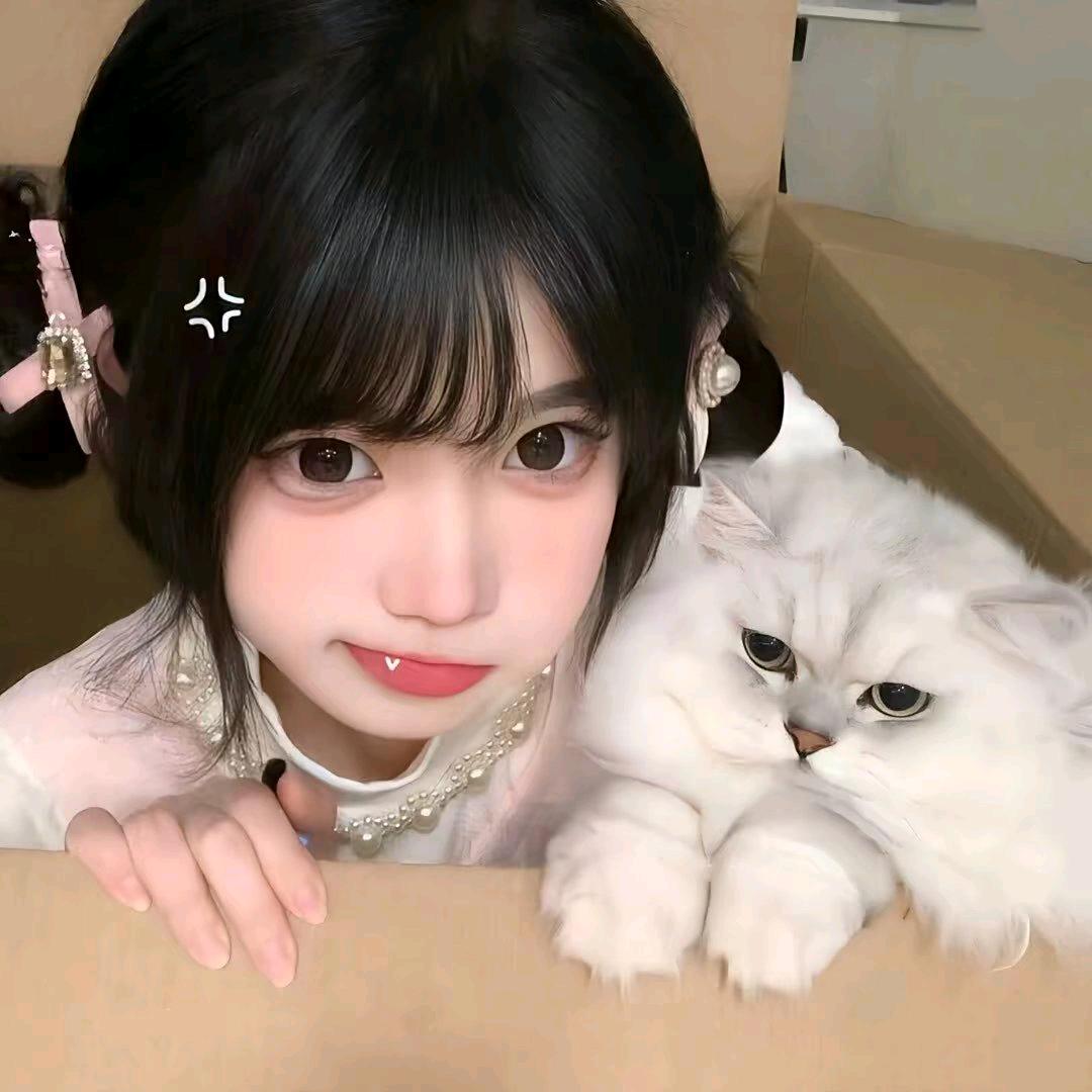 歆小岁.🍓