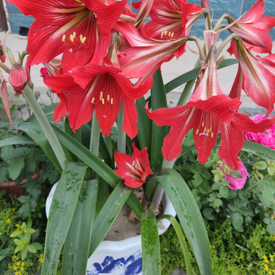 时光