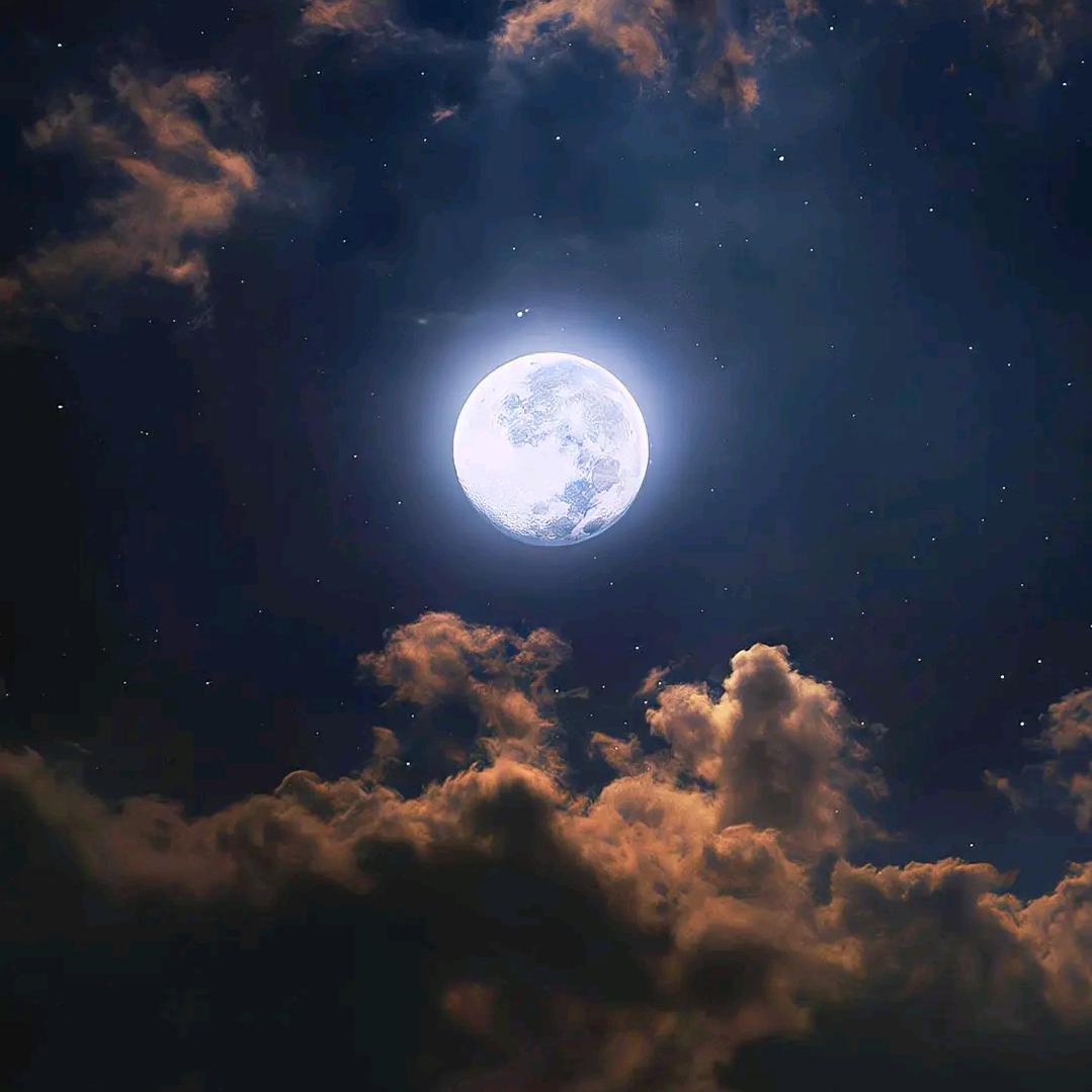 清水明月刺花刀