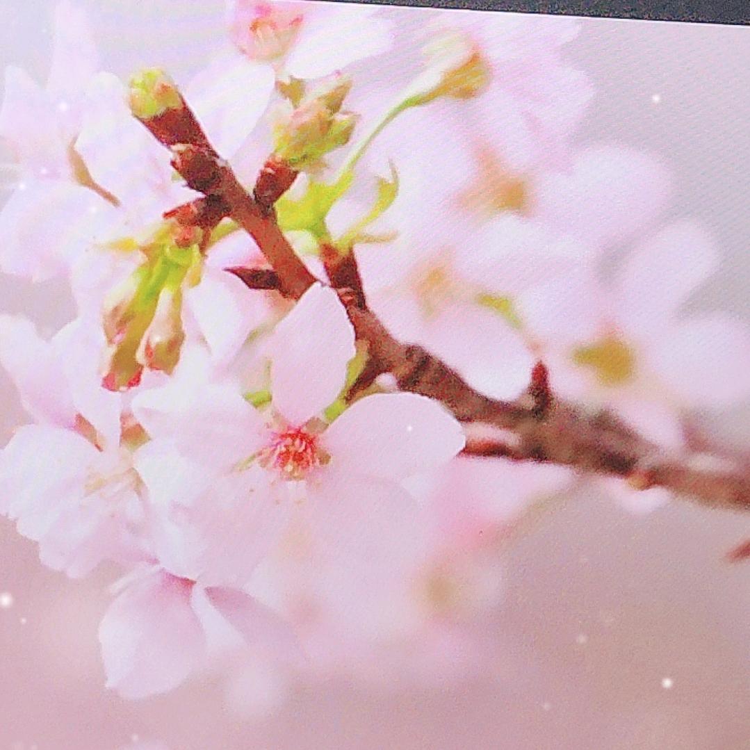 花样人生