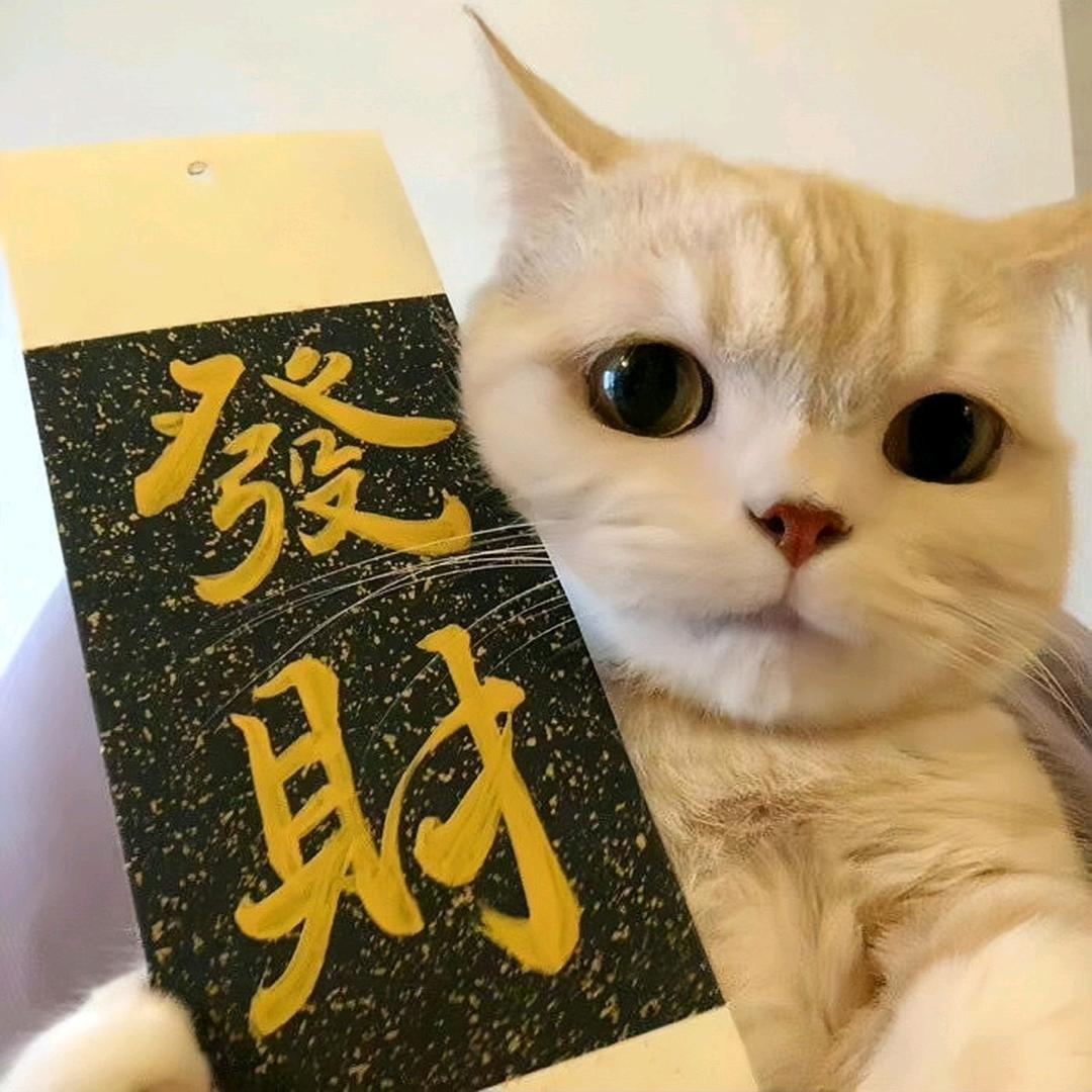 CF發呆（cs2）