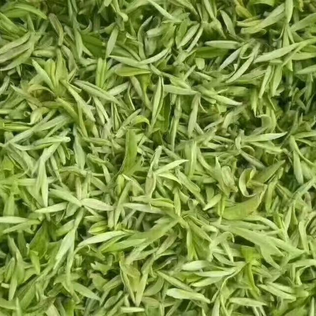 我的地盘我作主