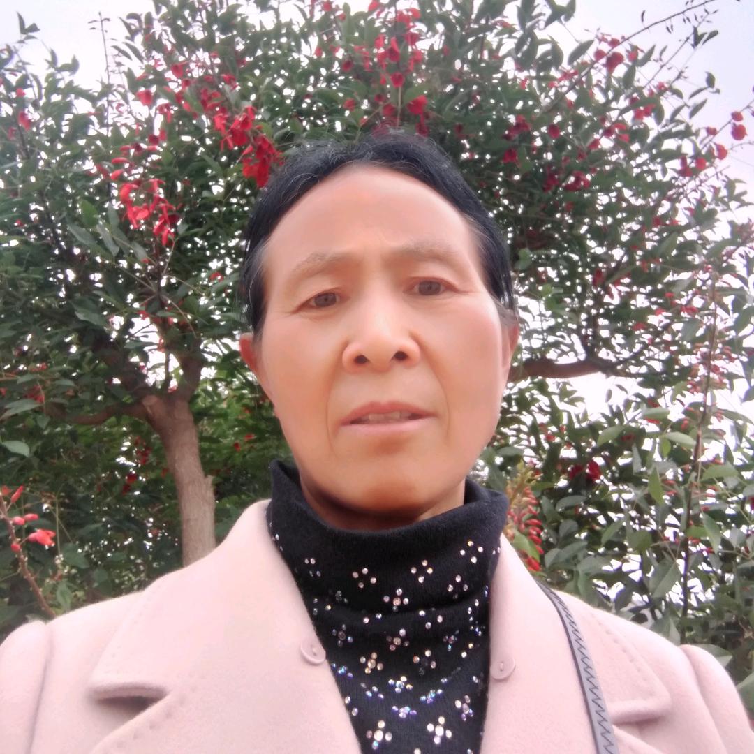 永珍我手机太卡了只有经过学校门这里是开心