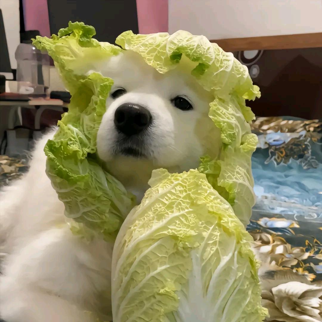 宇宙警备队队长