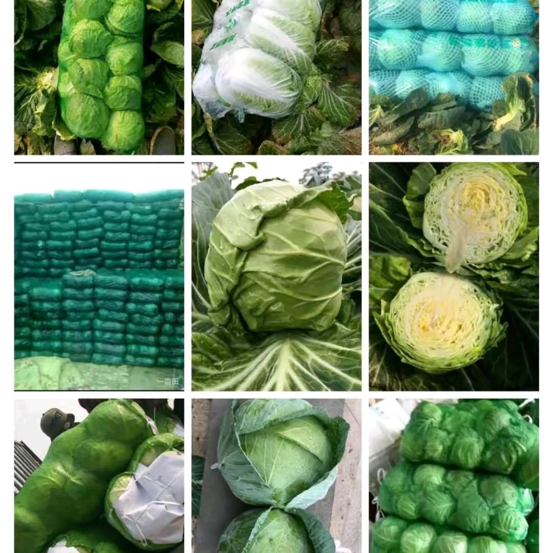 湖北潘家湾蔬菜产地直供