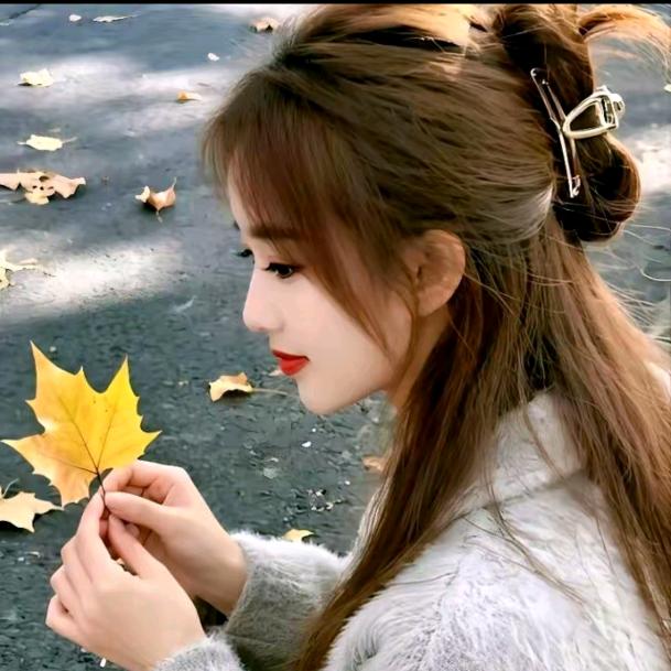 小丽本地趣探侠