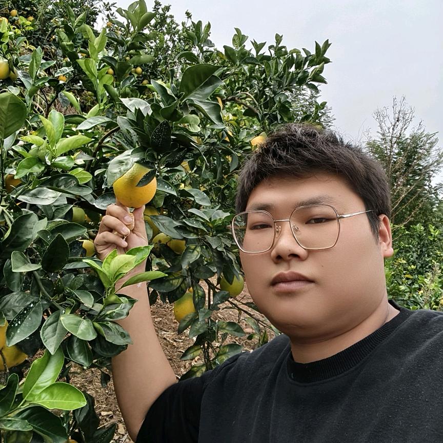 赣南脐橙-小范