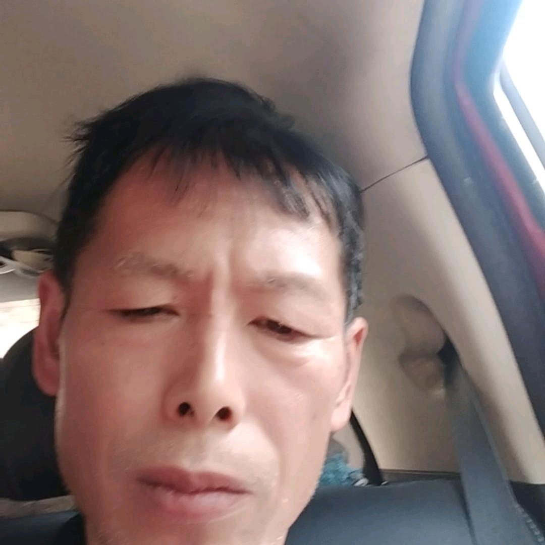 真龙