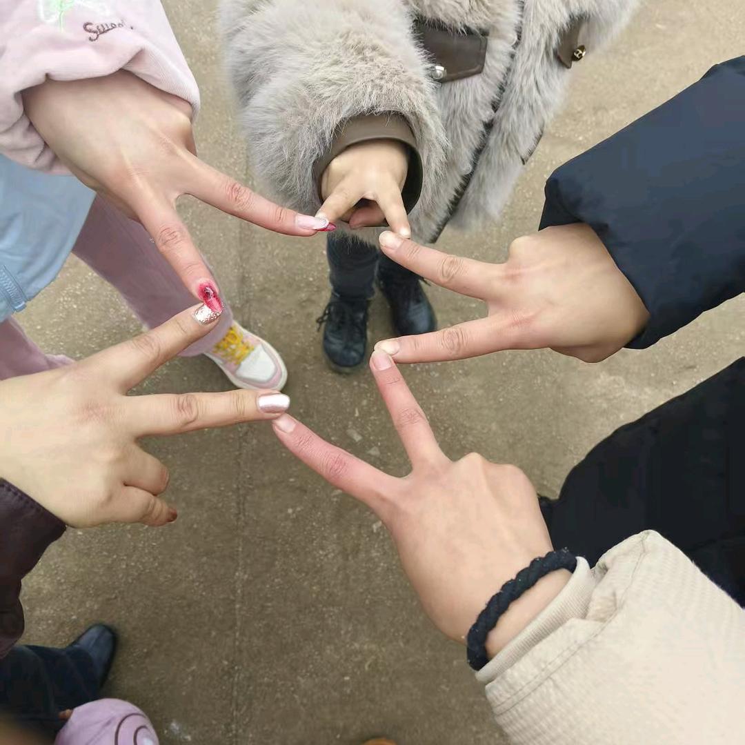 菊子花开🌺