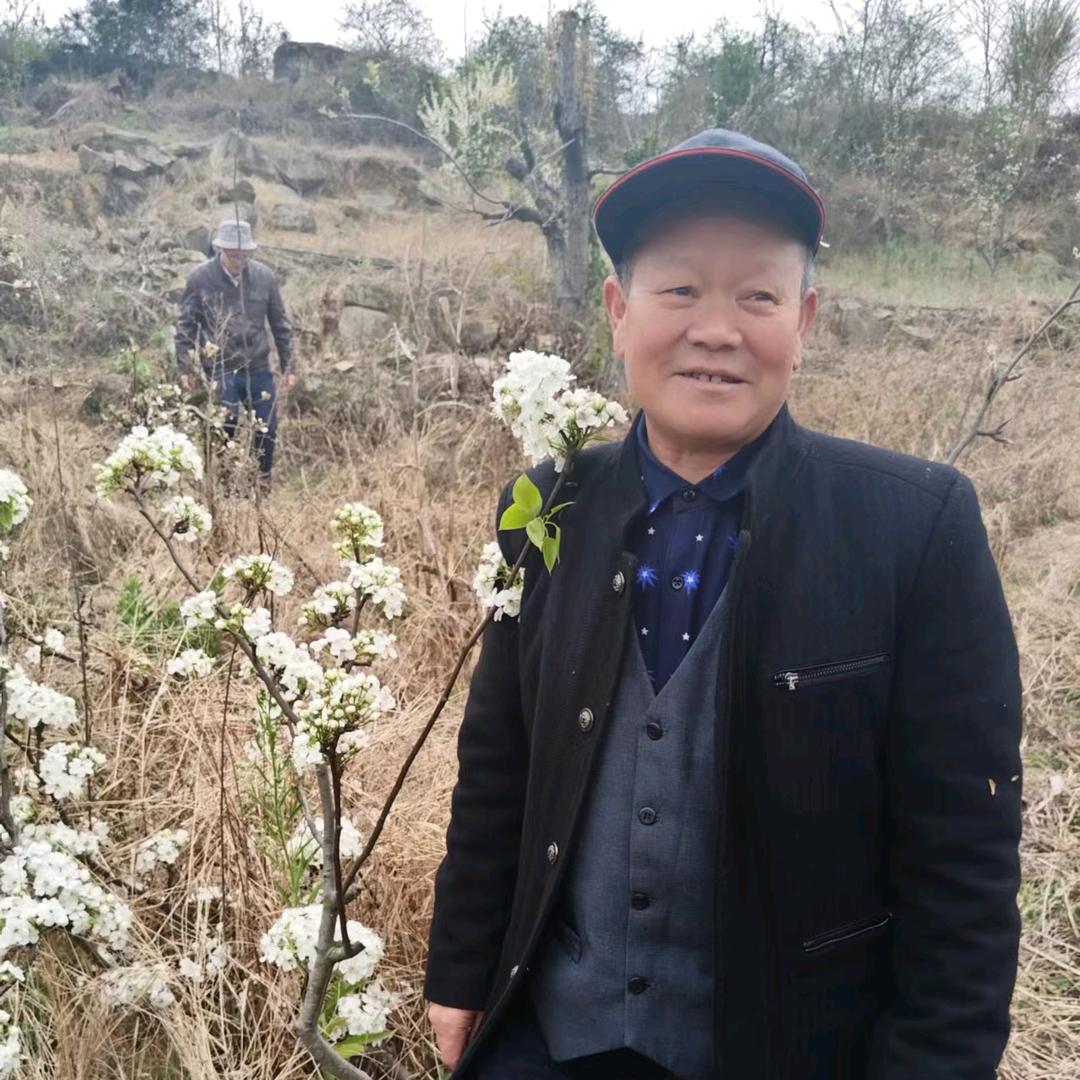 阿克苏的馕