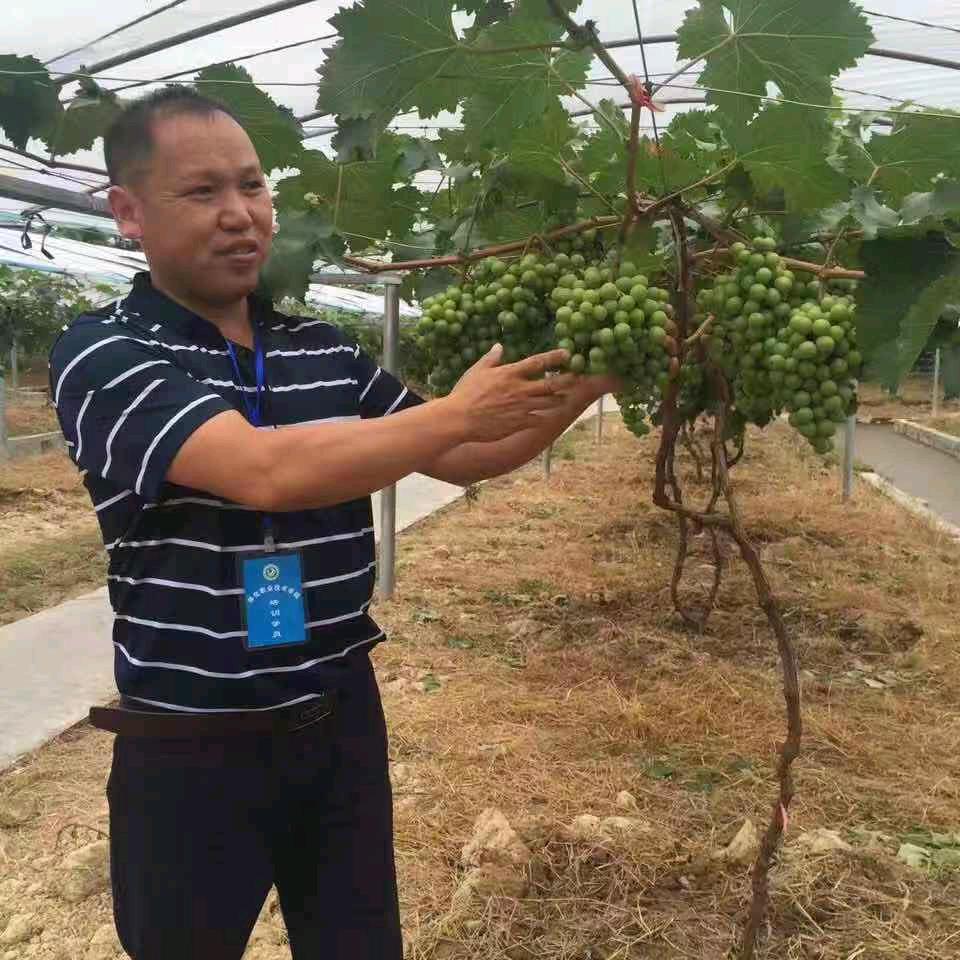 何亮苗木专业合作社