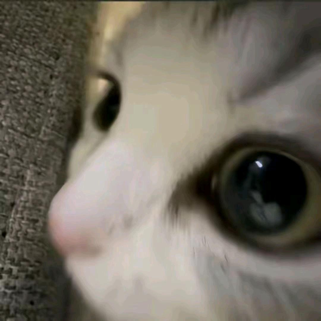 拉岛芭