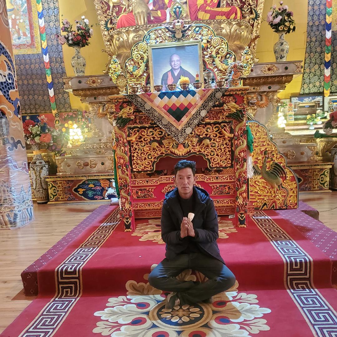 一🌴三🎄七🌱六😂