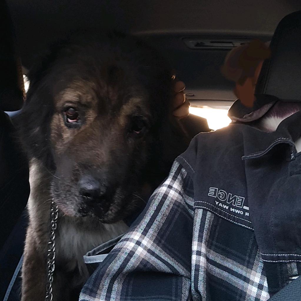 🚲..................