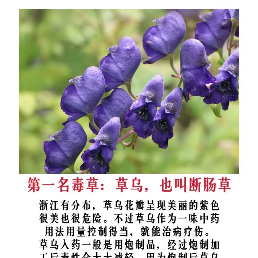你是我今生最美的相遇