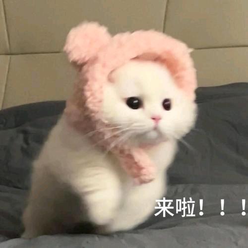 文案带来好心情