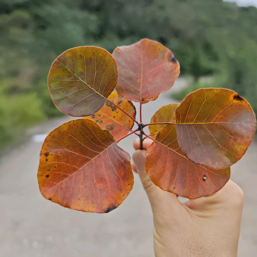 🌈3.③①^彤.🌷