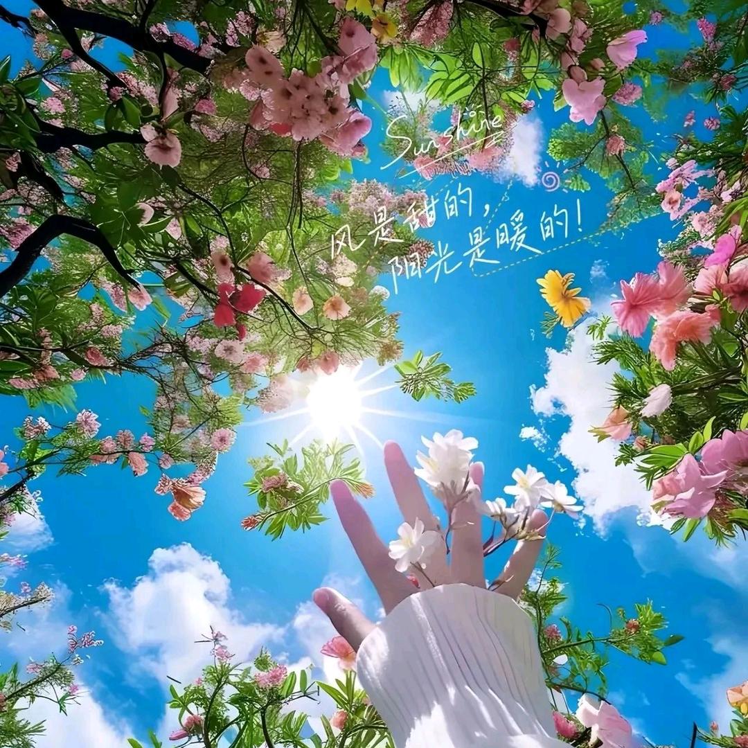 丽～姐