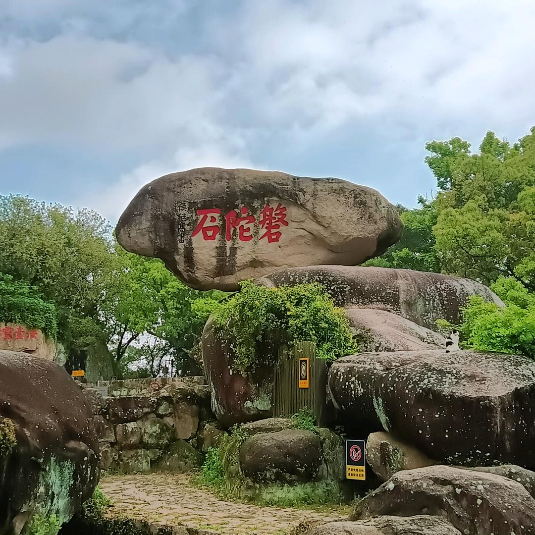 玩不花