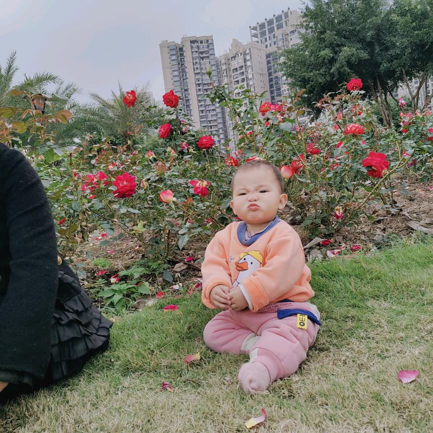 龙花花