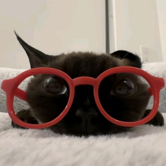 ⁺✞ʚ李永钦重度依赖ɞ✟₊