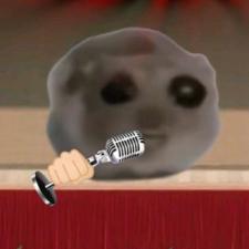 叮咚猫meme