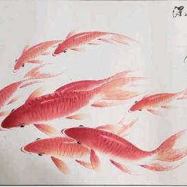 小刘哥