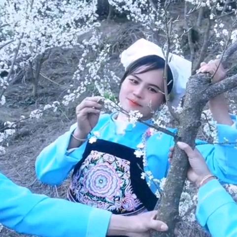 人生努力