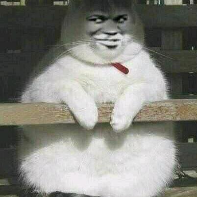 ℋᵅᵖᵖᵞ♡ᵕ̈