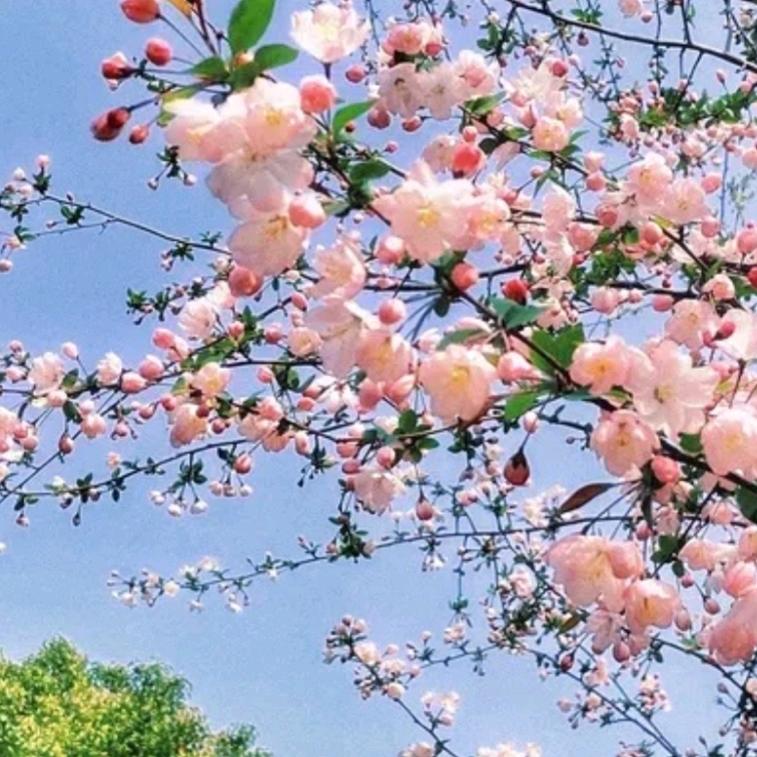 端宝助农易物换货电商数字化商城(高）