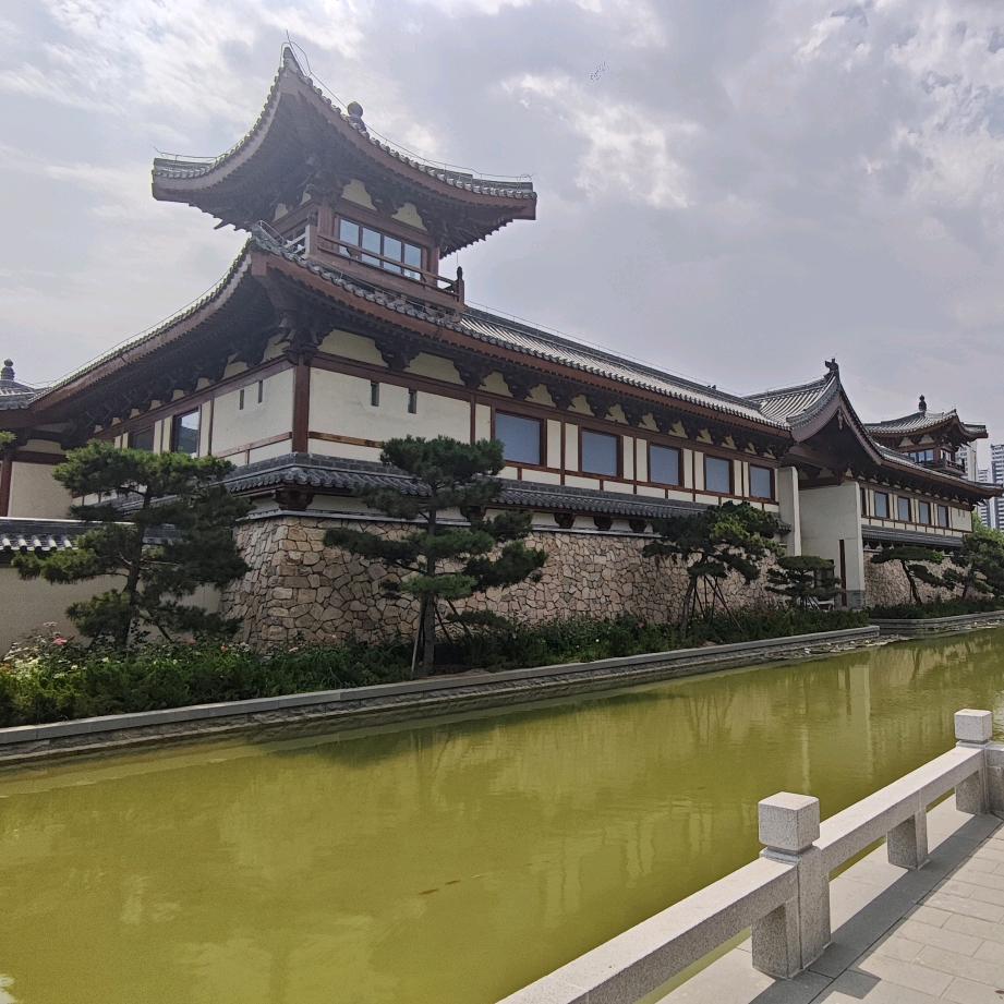 红🍁枫