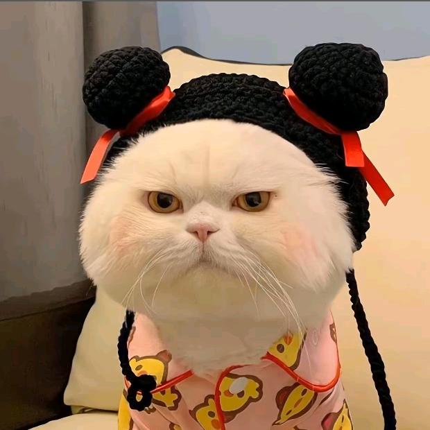 ♛我有一个小可爱
