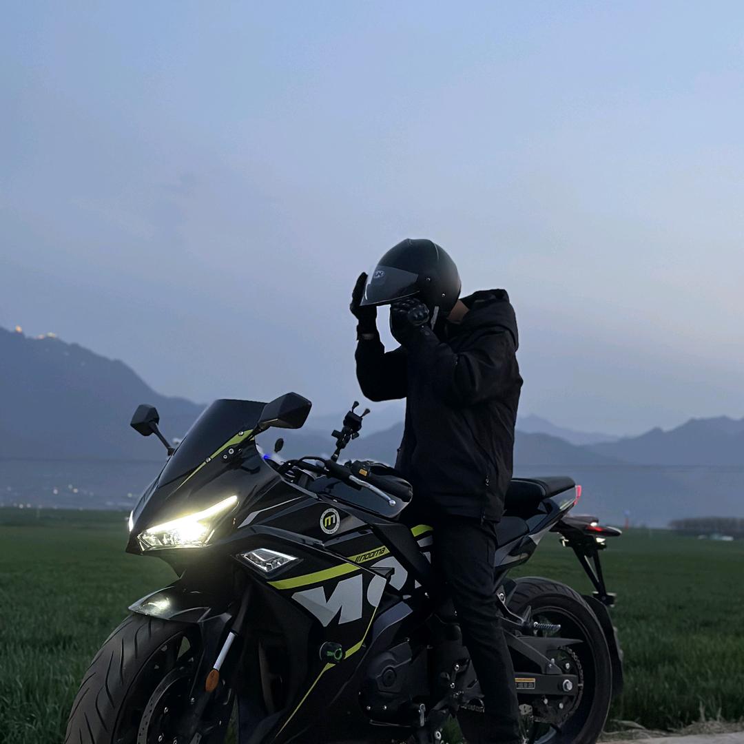 夏日懒杨杨