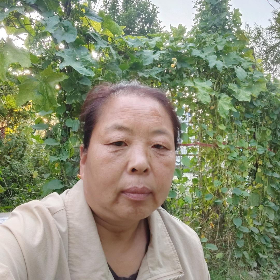 张姐