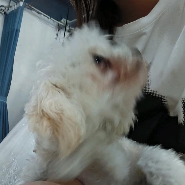 奈蛤蛤蛤蛤蛤蛤蛤