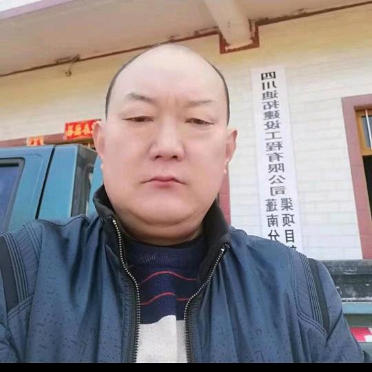 税国伦