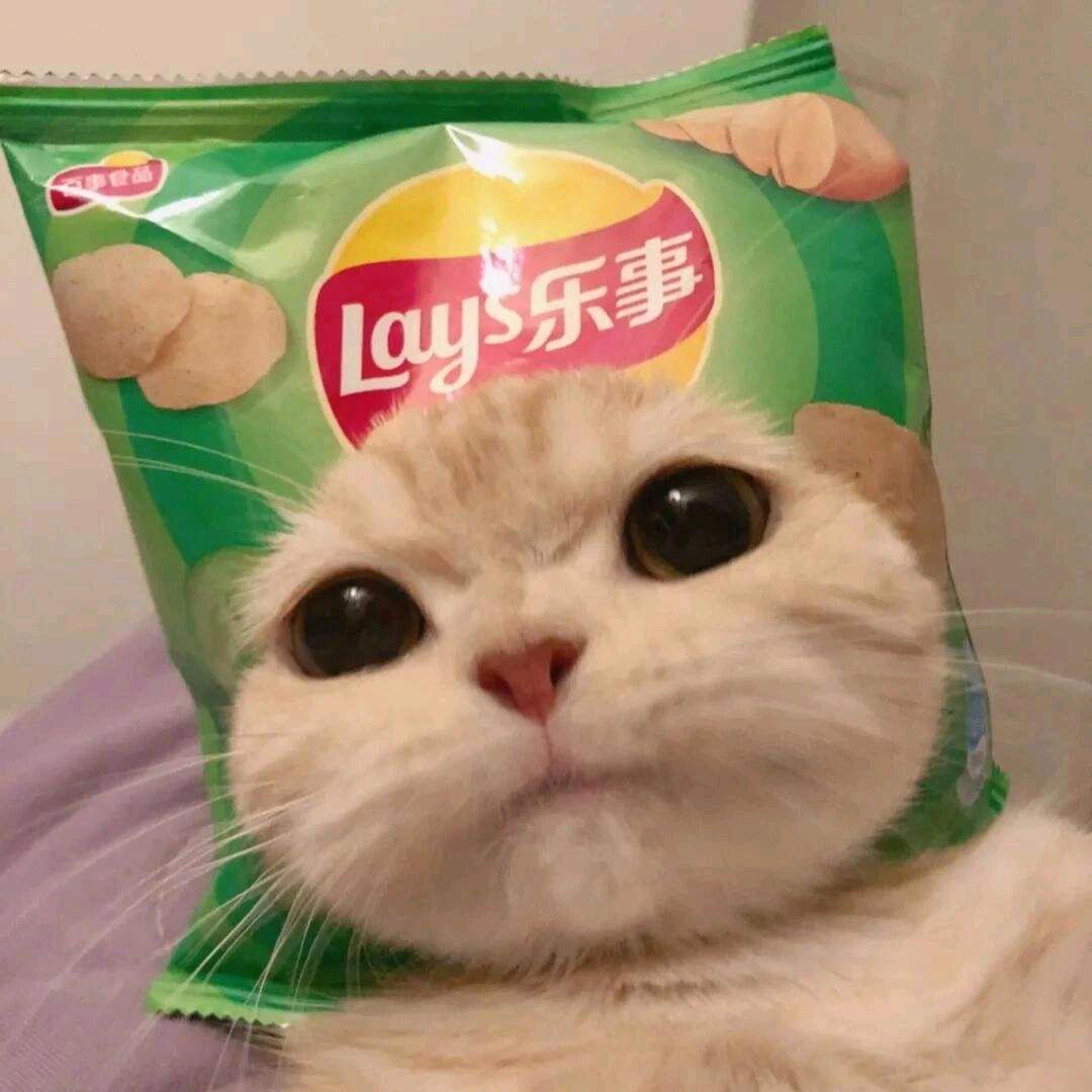 樱桃汤圆子