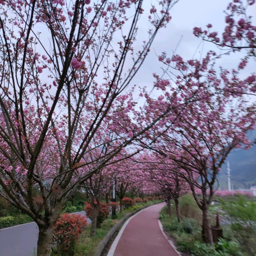 忘不了过去
