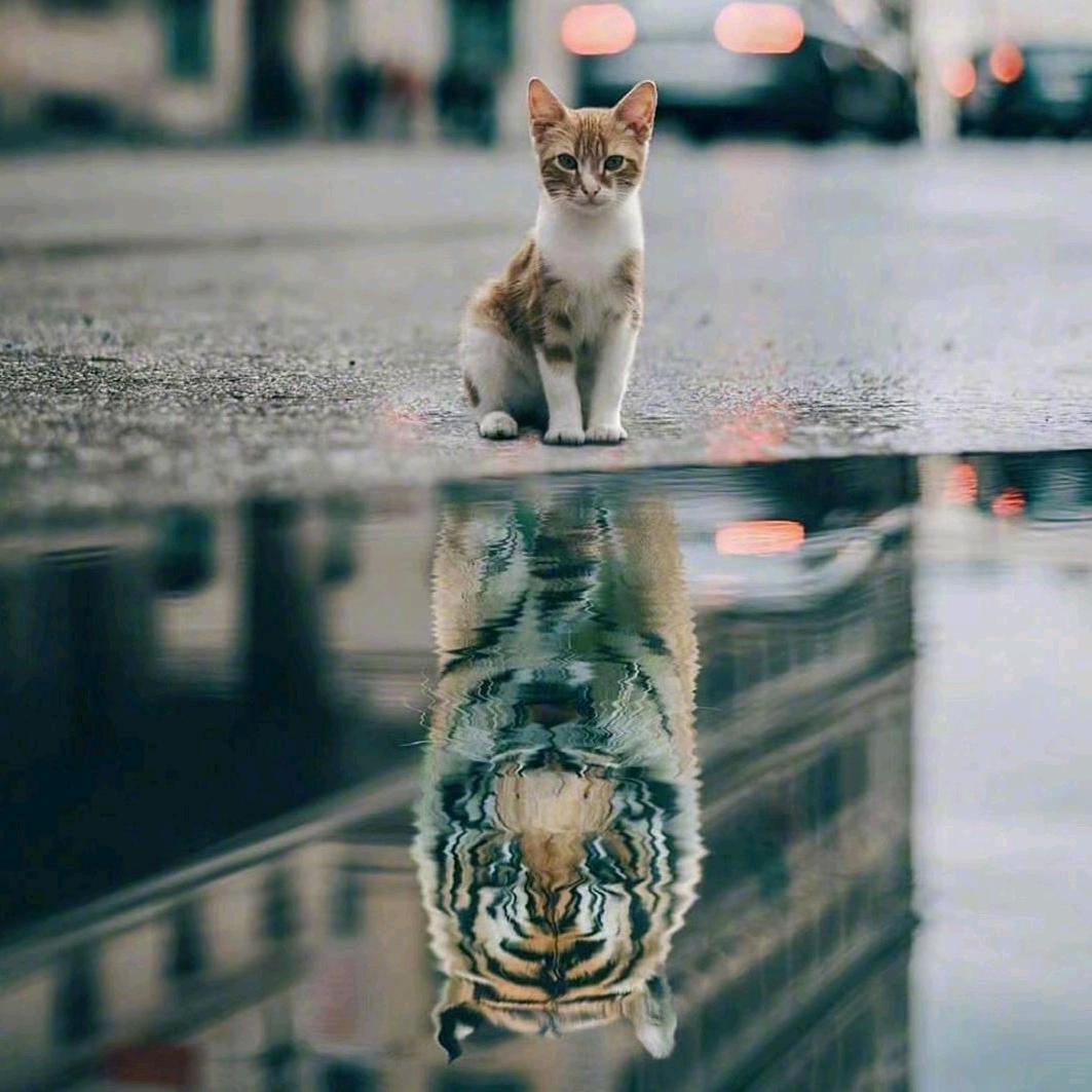 🌈正义·奥黛丽头像
