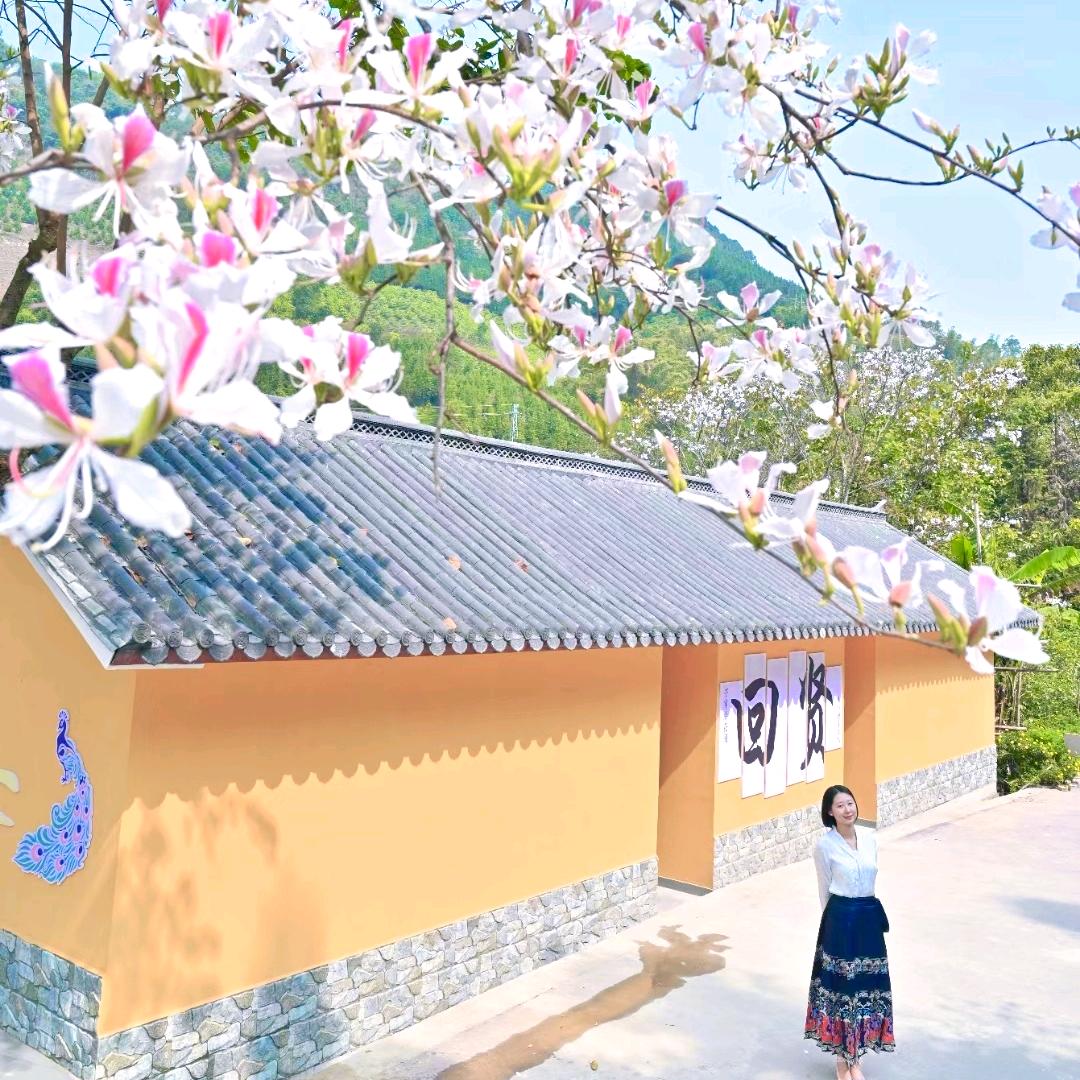 回贤康养旅居（林子）