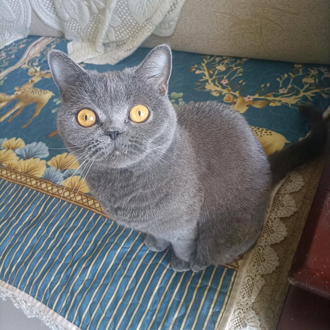 顺其自然·随缘