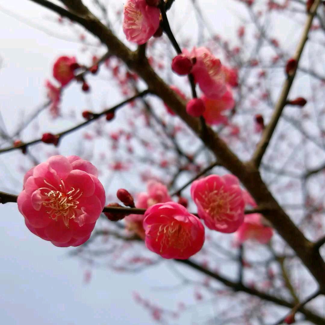 Love Kai Yi most