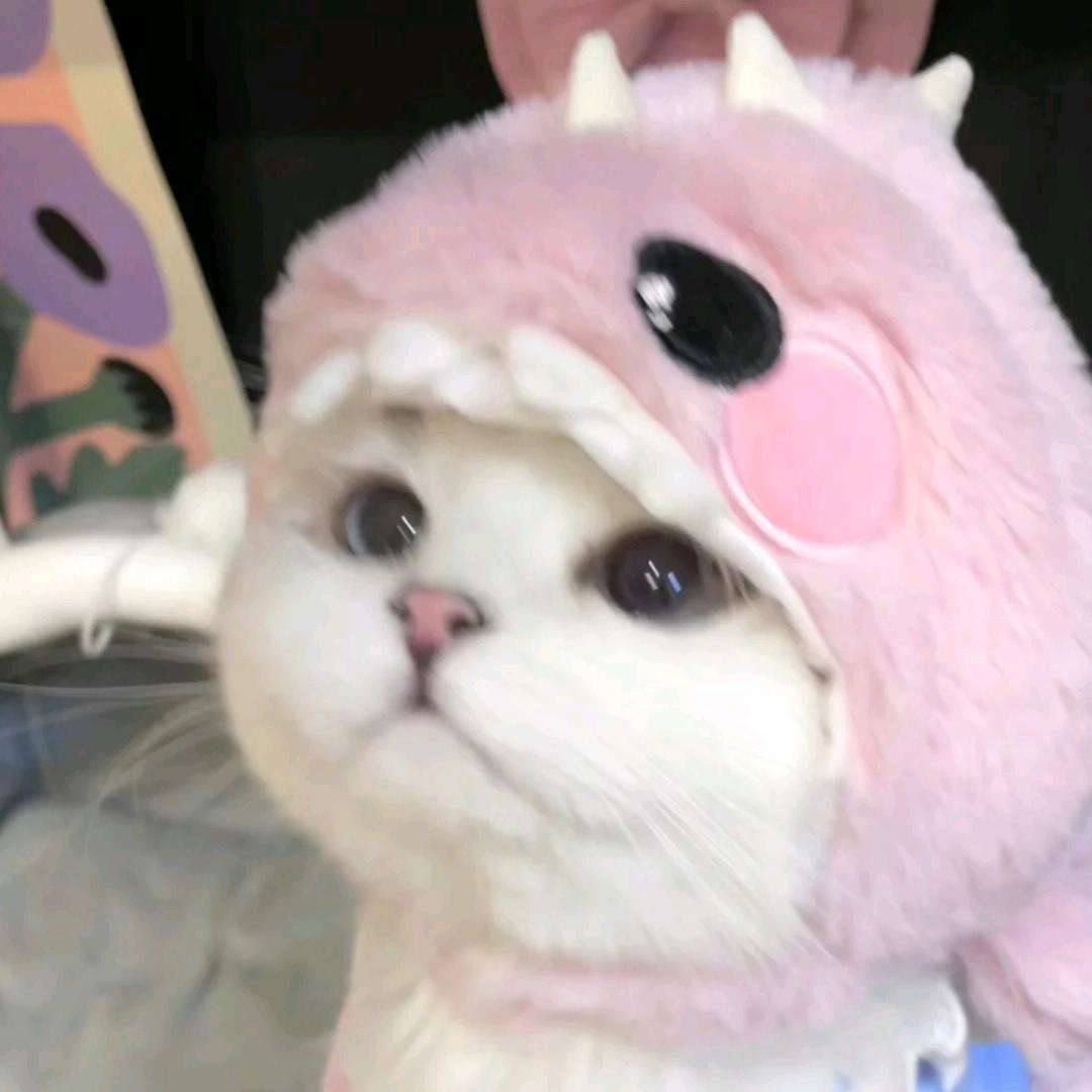 搞点發發